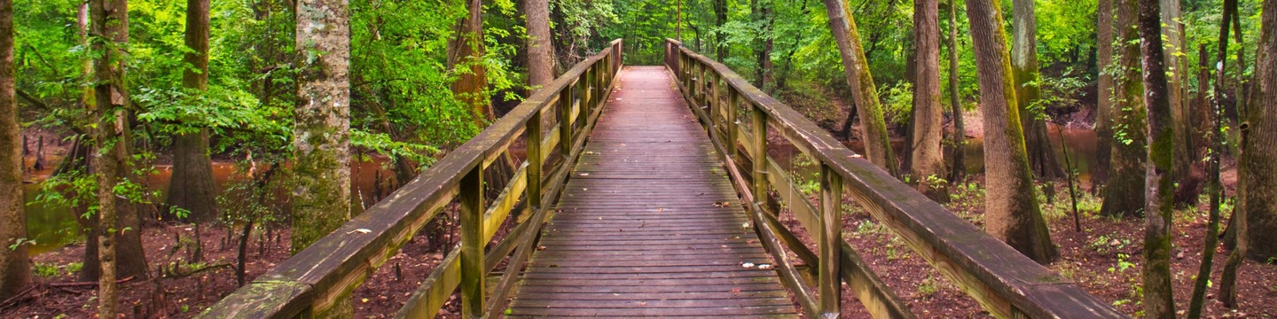 Folder: Reimagine Richland 2025 Comprehensive Plan | Nealon Planning ...